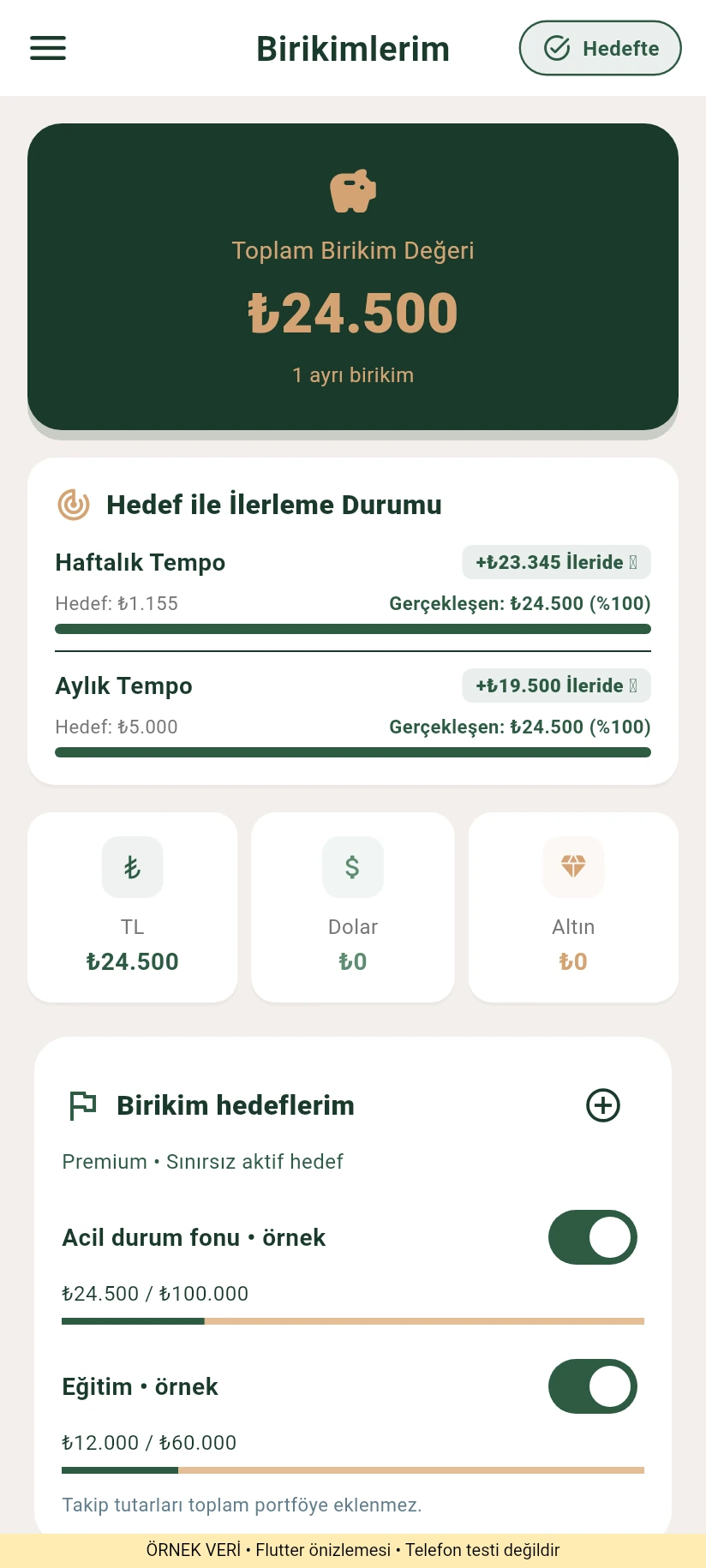 Birikim AI uygulamasında örnek birikim hedefleri ve ilerleme takibi